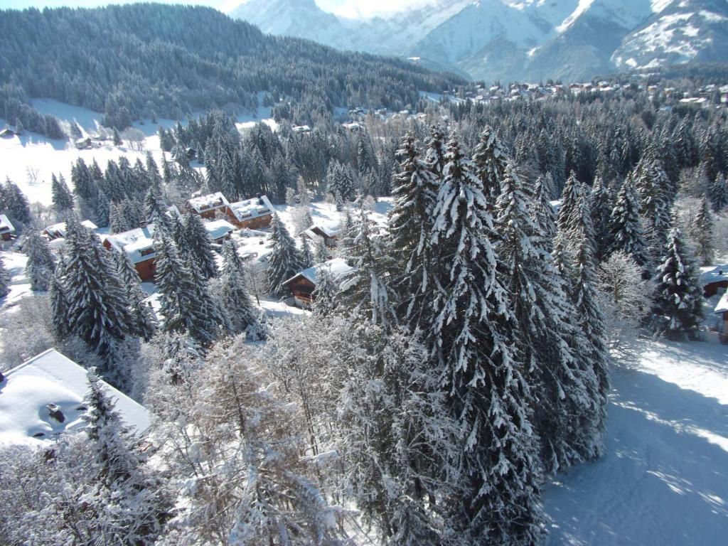 Apartamento Petit Ours Villars-sur-Ollon Exterior foto