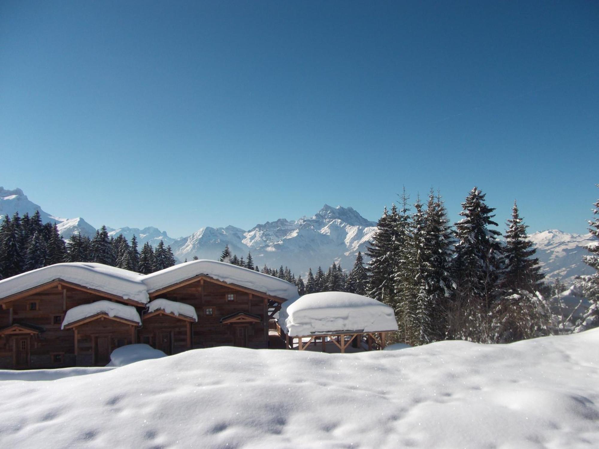 Apartamento Petit Ours Villars-sur-Ollon Exterior foto